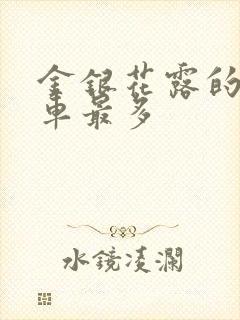 金银花露的哪个车最多