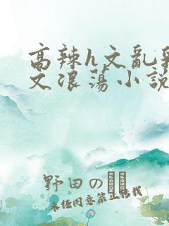 高辣h文乱乳h文浪荡小说苏卿