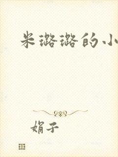 米璐璐的小说