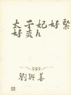 太子妃好紧皇上好爽h