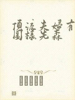 顶流夫妇有点甜图样先森