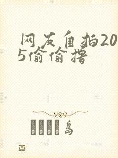 网友自拍2015偷偷撸