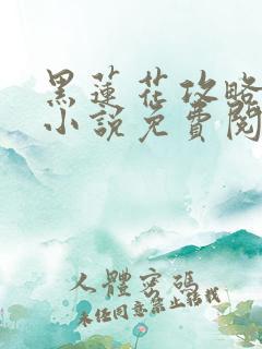 黑莲花攻略手册小说免费阅读全文