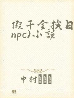 假千金挨日记(npc)小说