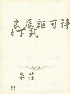 良辰讵可待txt下载