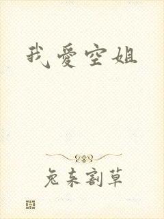 我爱空姐