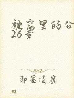 被窝里的公憩第26章