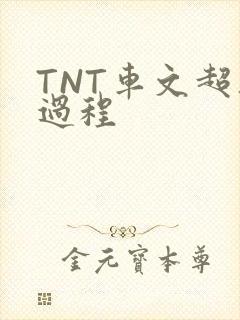 TNT车文超细过程