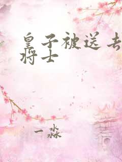 皇子被送去犒劳将士