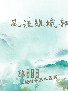 风流组织部长