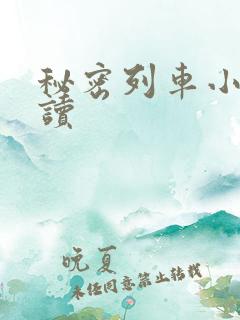 秘密列车小说阅读