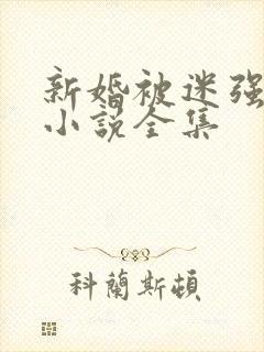 新婚被迷强系列小说全集