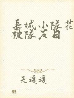 长城小队花木兰被队友日