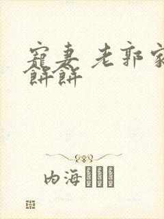 宠妻 老郭家的饼饼