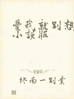 爱我就别想太多小说版