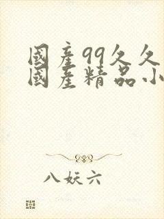 国产99久久久国产精品小说