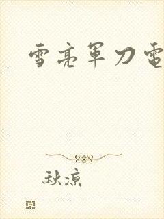 雪亮军刀电视剧