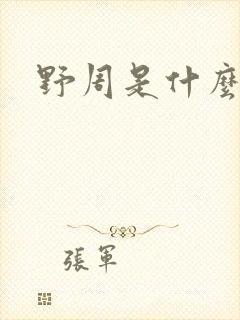 野周是什么意思