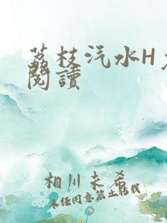 荔枝汽水H免费阅读