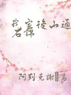 我家后山通仙界石锦