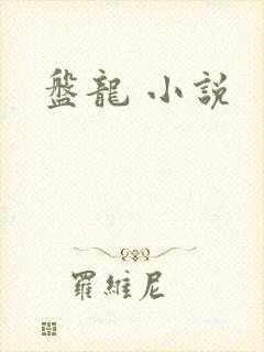 盘龙 小说