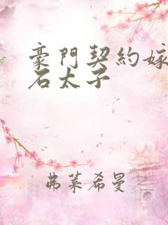 豪门契约嫁给钻石太子