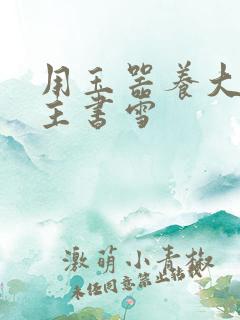 用玉器养大的公主书雪