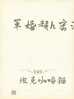 军婚超h密液