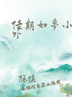 佳期如梦小说番外