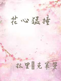 花心猛撞