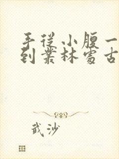 手从小腹一路开到丛林处古代