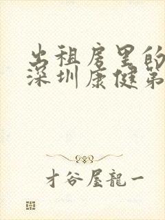 出租房里的交互深圳康健第二部