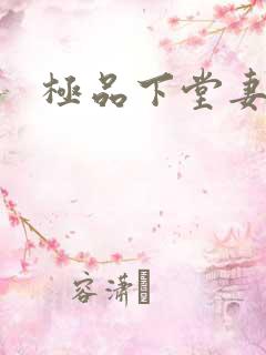 极品下堂妻