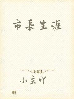 市长生涯