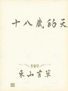 十八岁的天空续