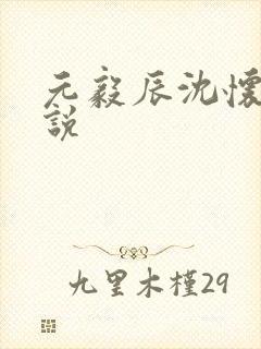 元毅辰沈怀妆小说