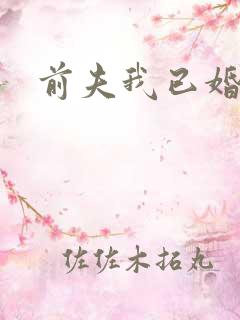 前夫我已婚