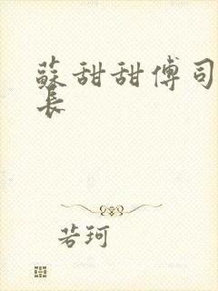 苏甜甜傅司衍机长