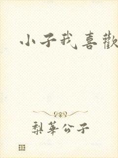 小子我喜欢你