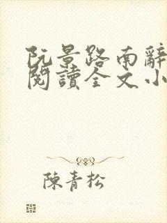 阮景路南辞免费阅读全文小说