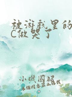 被游戏里的NPC做哭了