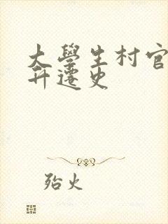 大学生村官艳遇升迁史