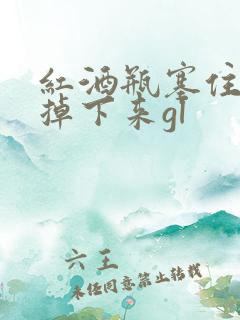 红酒瓶塞住不准掉下来gl