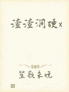 渣渣洞硬x