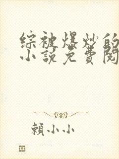 综被爆炒的日常小说免费阅读