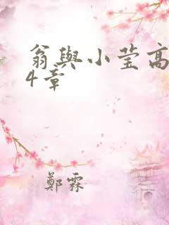 翁与小莹高潮24章