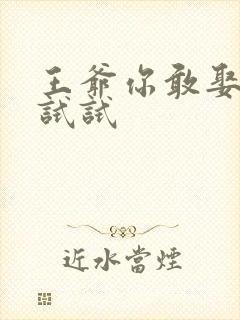 王爷你敢娶小三试试