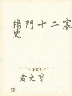 杨门十二寡妇艳史