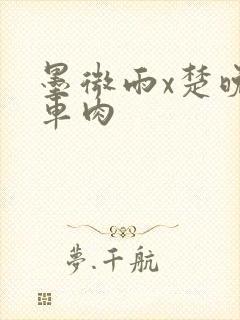 墨微雨x楚晚宁车肉