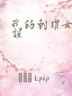 我的刺猬女孩小说